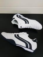 Lonsdale Camden, Wit, Nieuw, Lonsdale, Ophalen of Verzenden