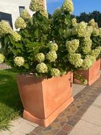 4x XXL kunststof plantenbak BLOEMBAK compleet met Limelights, Tuin en Terras, Bloembakken en Plantenbakken, Ophalen, Kunststof