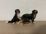 Schleich berner sennen honden, Ophalen of Verzenden, Zo goed als nieuw, Paard, Beeldje of Figuurtje