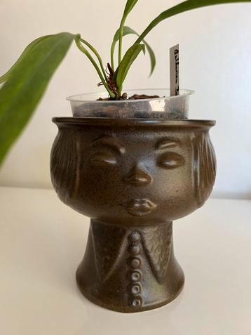 Vintage VEB Haldensleben DDR Bubikopf Bloempot Bruin 60’s beschikbaar voor biedingen