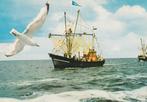 BRESKENS Vissersboot, Verzenden, 1960 tot 1980, Gelopen, Zeeland