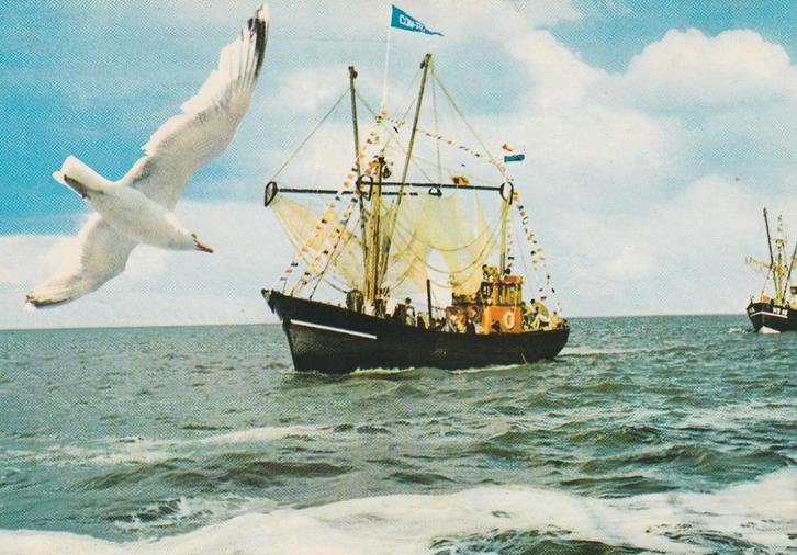 BRESKENS Vissersboot, Verzamelen, Ansichtkaarten | Nederland, Gelopen, Zeeland, 1960 tot 1980, Verzenden