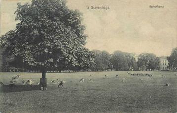 (300-182-003) Den Haag Hertenkamp beschikbaar voor biedingen