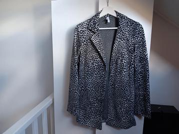 JASJE MET PRINT  beschikbaar voor biedingen