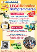 LEGO Robotica & Programmeren, Ophalen