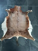 Geiten huid, Geiten vel. Bruin beige kleur., Ophalen of Verzenden, Zo goed als nieuw, Bruin, Ovaal