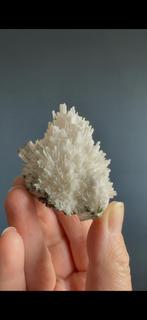 Scoleciet uit India, Verzamelen, Mineralen en Fossielen, Ophalen of Verzenden, Mineraal