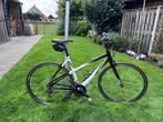 Koga Sports lady, 50 tot 53 cm, Ophalen, Gebruikt, Overige merken