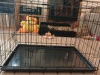 bech, Dieren en Toebehoren, Ophalen, Zo goed als nieuw