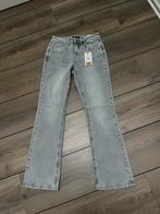 Nieuw ! Red Button jeans Babette maat 36/31, Nieuw, Ophalen of Verzenden, W28 - W29 (confectie 36), Grijs