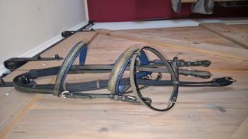 NIEUW pony "Kiefer" hoofdstel beschikbaar voor biedingen