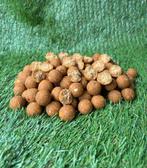Weekendactie RM Baits - Hot Scopex pakket, Watersport en Boten, Hengelsport | Karpervissen, Rm-baits@hotmail.com, Nieuw, Heerlen