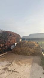 Paardenmest / mest gratis, Ophalen, Tuinaarde