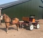 Te koop menwagen, Ophalen, Overige soorten