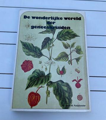geneeskruiden wonderlijke wereld geneeskrachtige planten beschikbaar voor biedingen
