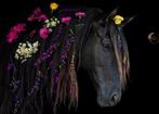 Lieve lusitano merrie te koop, Dieren en Toebehoren, Paarden, Merrie, Gechipt, Niet van toepassing, 160 tot 165 cm