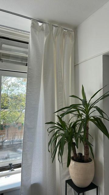 Witte grodijnen beschikbaar voor biedingen