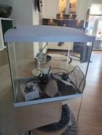 Aquarium superfish 40 liter, Dieren en Toebehoren, Ophalen, Zo goed als nieuw, Leeg aquarium