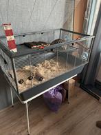 Ruime kooi, Dieren en Toebehoren, Knaagdieren en Konijnen | Hokken en Kooien, Minder dan 60 cm, Kooi, 110 cm of meer, Verzenden