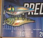 Berkley zilla flankers 16cm, Ophalen of Verzenden, Zo goed als nieuw, Overige typen