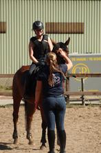 Paardrijles - volwassenengroepsles!, Diensten en Vakmensen, Dieren | Paarden | Verzorging, Oppas en Les, Paardrijles of Ponykampen