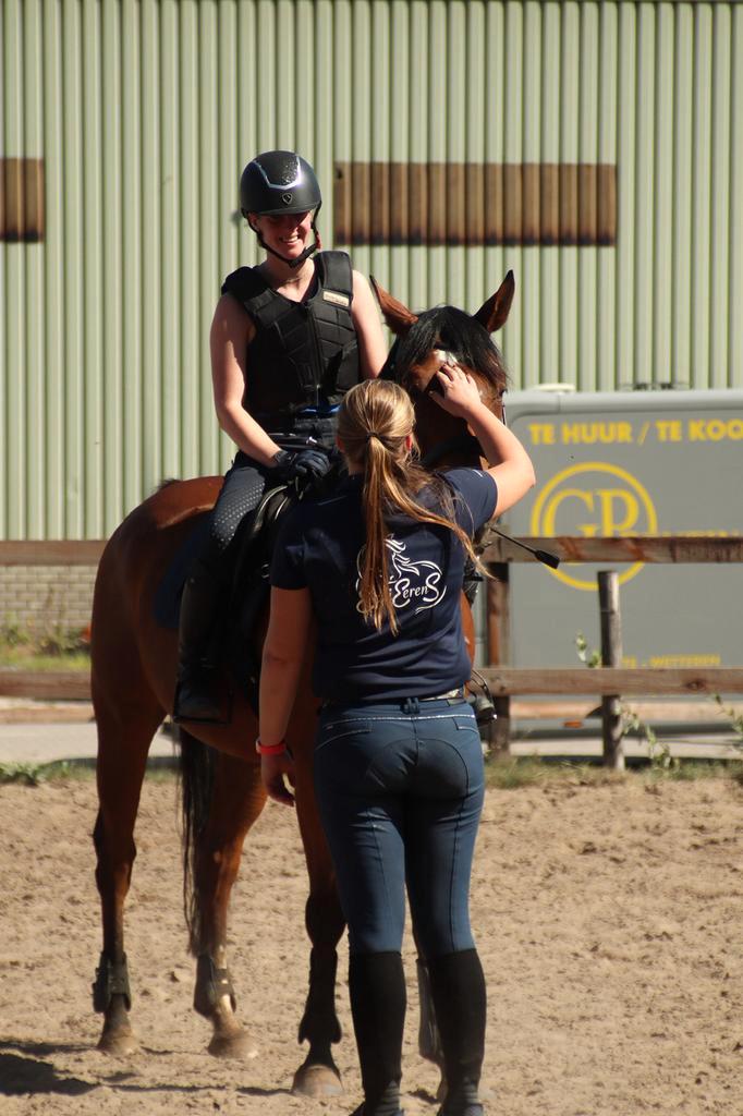 Paardrijles - volwassenengroepsles!, Diensten en Vakmensen, Dieren | Paarden | Verzorging, Oppas en Les, Paardrijles of Ponykampen