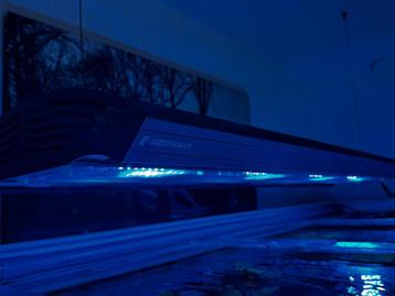 Aurora hybrid giesseman ( met defect TL ) beschikbaar voor biedingen