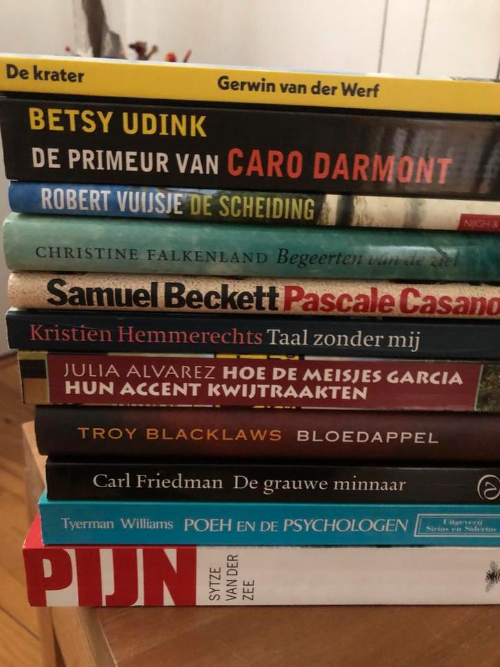Boekenpakket Diverse Auteurs, Boeken, Romans, Gelezen, Nederland, Ophalen of Verzenden