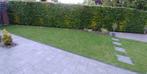 tuintegels NIEUW 60x30x4, grijs genuanceerd, 40 stuks, 7,2m2, Tuin en Terras, Ophalen, Nieuw, 5 tot 10 m², Beton