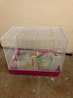 Hamster kooi met buizen, speeltjes en toebehoren, Kooi, Minder dan 75 cm, Zo goed als nieuw, Hamster