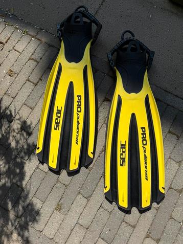 Vinnen voor duiken of snorkelen. beschikbaar voor biedingen