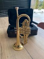 Cornet met koffer - Cherrystone Zo goed als nieuw, Ophalen of Verzenden, Zo goed als nieuw, Overige typen, Met koffer