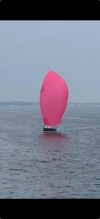 Doyle Sails Gennaker, Watersport en Boten, Ophalen, Zo goed als nieuw, Spinnaker