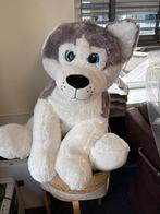 Grote Husky Knuffel, Ophalen of Verzenden, Zo goed als nieuw, Hond