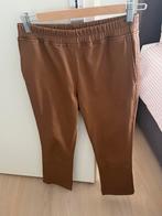 Prachtige leren broek suitte 22 mt 38 splinternieuw, Kleding | Dames, Maat 38/40 (M), Overige kleuren, Nieuw, Suitte 22
