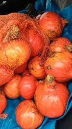 Biologische pompoenen, Diversen, Levensmiddelen, Ophalen