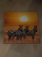 Zebra Canvas Schilderijen - 38x38cm, Ophalen of Verzenden, Zo goed als nieuw