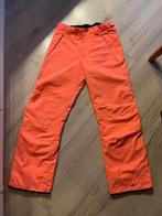 O'Neill Dames Skibroek Maat 40, Kleding | Dames, Ophalen of Verzenden, Oneill, Gedragen, Broek
