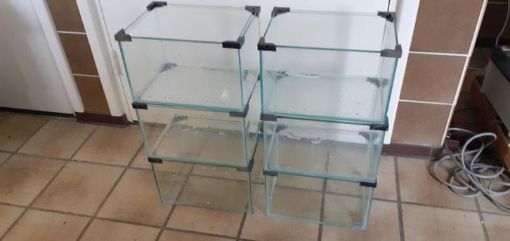 aquarium kweekbakjes / garnalenbakjes, Dieren en Toebehoren, Vissen | Aquaria en Toebehoren, Nieuw, Leeg aquarium, Ophalen of Verzenden