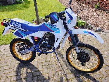 Derbi Fds bieden vanaf € 2250