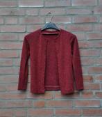 rood vest 134, cardigan 134, kinderkleding 134, Kinderen en Baby's, Kinderkleding | Maat 134, Ophalen of Verzenden, Zo goed als nieuw