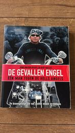 Bert Huisjes - De gevallen engel, Ophalen of Verzenden, Zo goed als nieuw, Bert Huisjes; John van den Heuvel