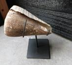 Schelp in standaard, Huis en Inrichting, Ophalen of Verzenden, Zo goed als nieuw