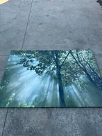 Mooi natuur schilderij 140cm - 200cm, Ophalen of Verzenden