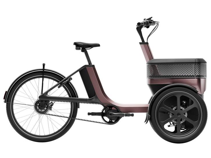 Van Raam Thuja driewieler met bak - op voorraad, Fietsen en Brommers, Fietsen | Driewielers, Nieuw, Verstelbare zitting, Ophalen of Verzenden