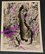 100%orig super foto wo2 duitse granaat en mortier, Verzamelen, Militaria | Tweede Wereldoorlog, Ophalen of Verzenden, Landmacht