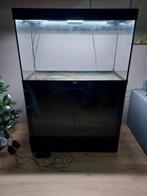 Aqualantis 280L aquarium, Dieren en Toebehoren, Vissen | Aquaria en Toebehoren, Ophalen, Gebruikt, Leeg aquarium