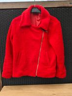 Rode Teddy jas maat S, Colourful Rebel, Ophalen of Verzenden, Zo goed als nieuw, Maat 36 (S)