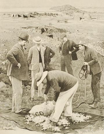 Schaapscheren - Antieke illustratie (1904) beschikbaar voor biedingen