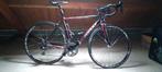 Goed onder ridley, Fietsen en Brommers, Overige merken, 28 inch, Gebruikt, Ophalen of Verzenden